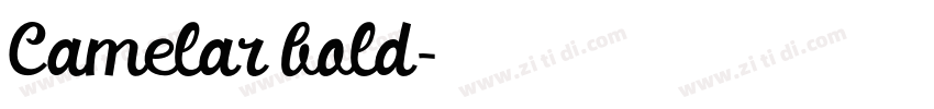 Camelar bold字体转换